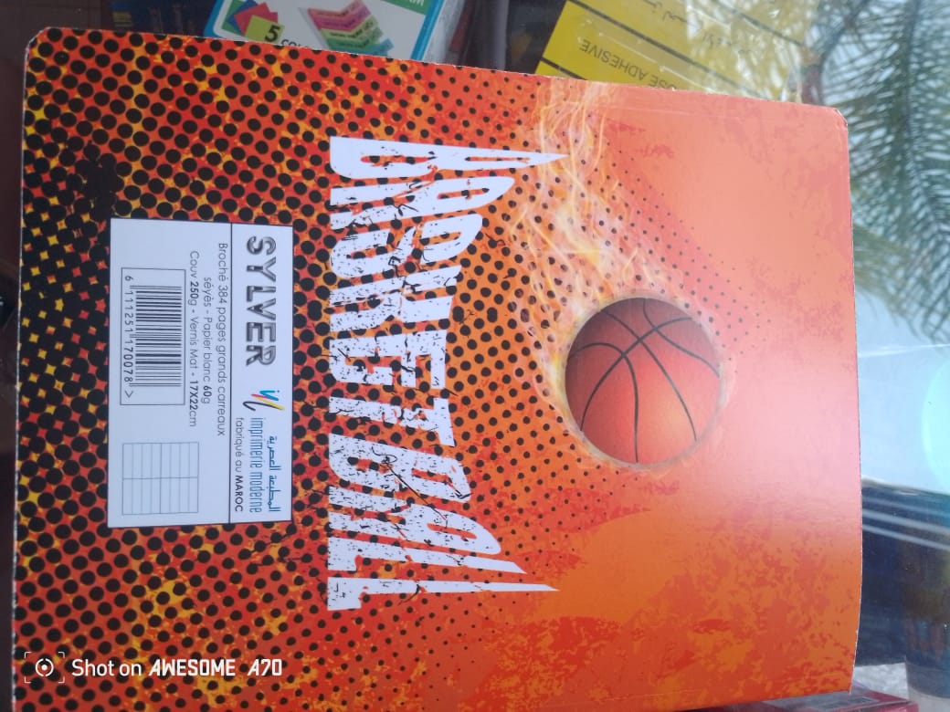 Cahier piqué384 page